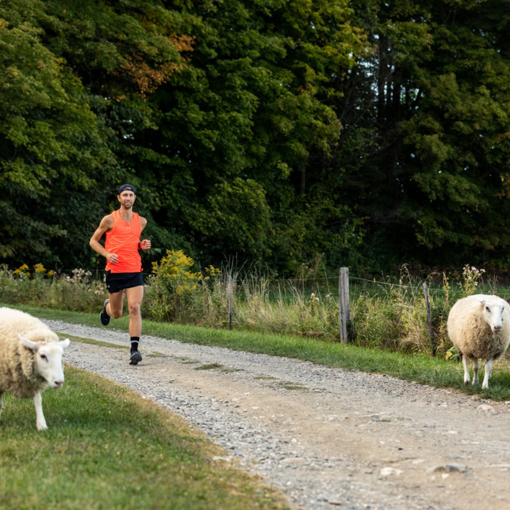 Runner in Darn Tough socks running alongside Sheep