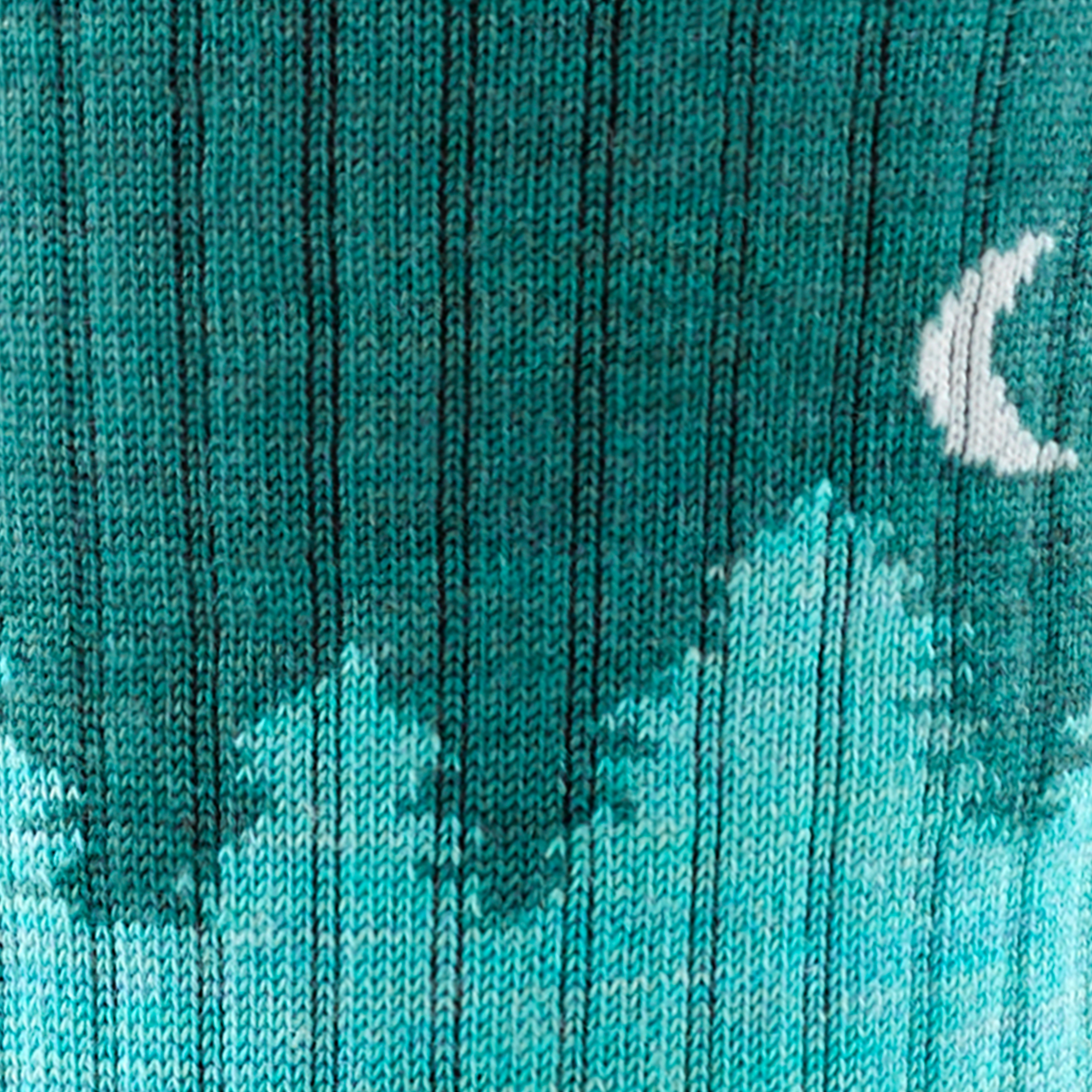 Call out detail image of the of the 1971 aqua front image of tree line and sliver moon