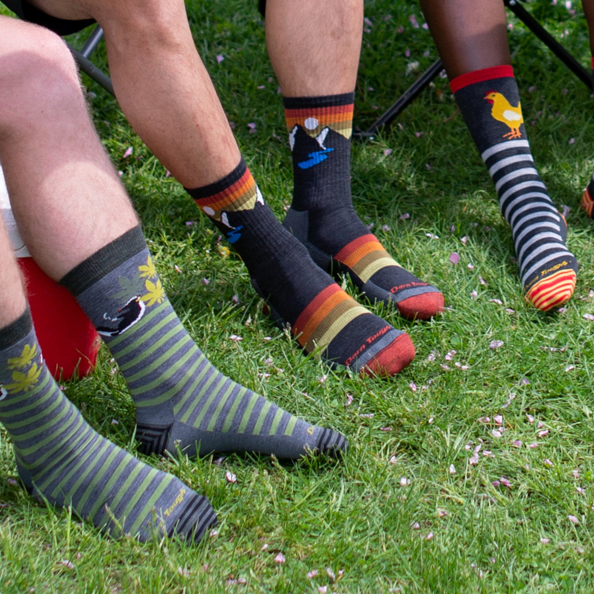 Close up shot of 3 models in grass, 2 in the men's animal haus crew socks and 1 in the men's sunset ridge micro crew socks