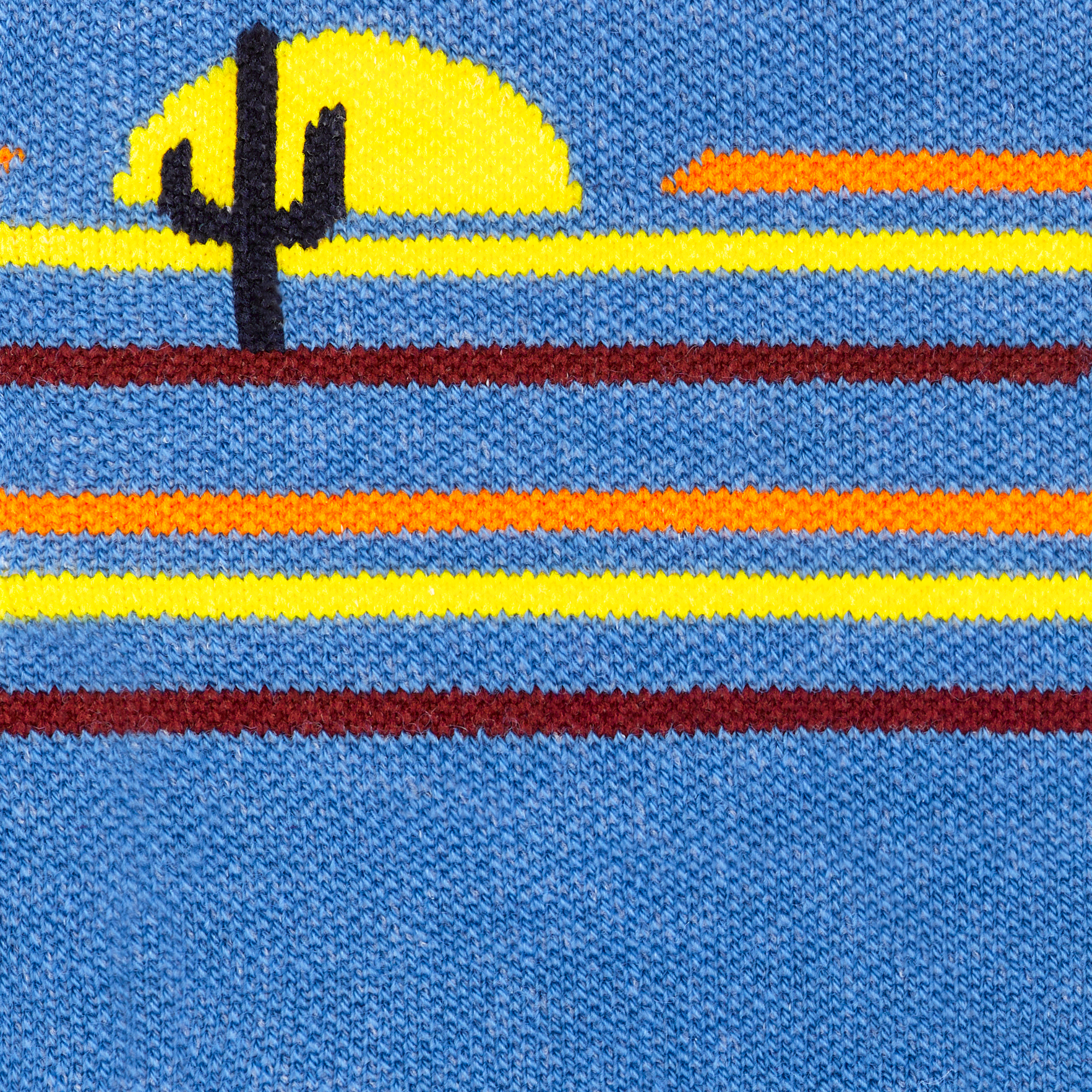Call out detail image of the of the 1062 surf reverse image of the desert scene with cactus
