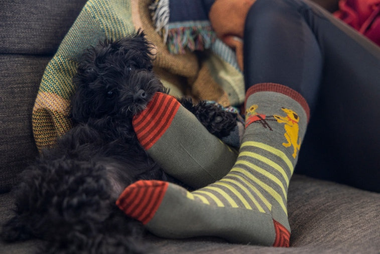 Feet wearing warm Darn Tough socks next to a cute puppy